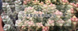 小米星的寓意和象征,第1图