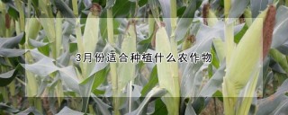 3月份适合种植什么农作物,第1图