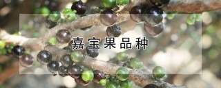 嘉宝果品种,第1图