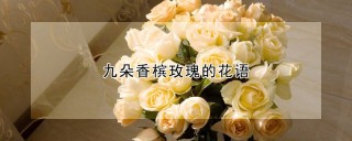 九朵香槟玫瑰的花语,第1图