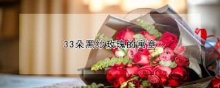 33朵黑纱玫瑰的寓意,第1图