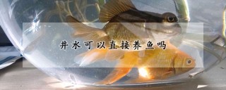 井水可以直接养鱼吗,第1图