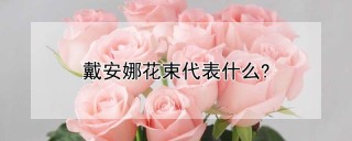 戴安娜花束代表什么?,第1图