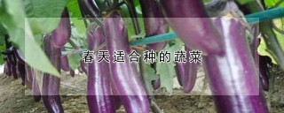 春天适合种的蔬菜,第1图