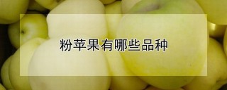 粉苹果有哪些品种,第1图