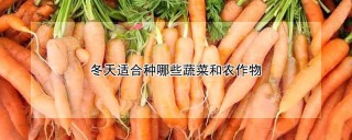 冬天适合种哪些蔬菜和农作物,第1图