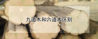 九道木和六道木区别,第1图