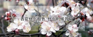 杏花什么颜色,什么时候开花,第1图