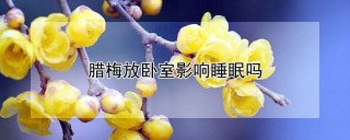 腊梅放卧室影响睡眠吗,第1图