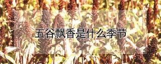 五谷飘香是什么季节,第1图