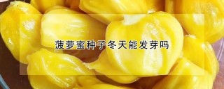 菠萝蜜种子冬天能发芽吗,第1图