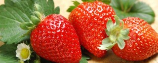 草莓二茬花怎么促,第1图