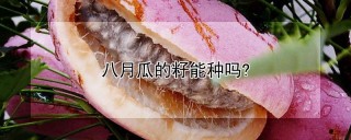 八月瓜的籽能种吗?,第1图