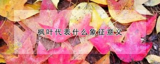 枫叶代表什么象征意义,第1图