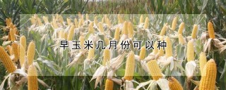 早玉米几月份可以种,第1图