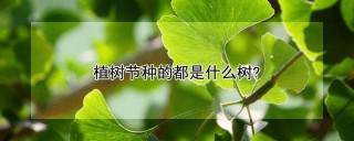 植树节种的都是什么树?,第1图