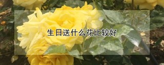 生日送什么花比较好,第1图