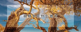 胡杨长在什么地方,第1图