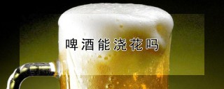 啤酒能浇花吗,第1图