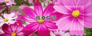 格桑花语,第1图