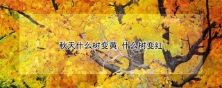 秋天什么树变黄,什么树变红,第1图