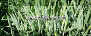 小麦返青期至拔节时间,第1图