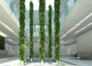 绿萝盆景的制作方法，柱式和垂式、瀑布式两种任你选,第3图