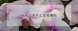 秋天会开什么花有哪些,第1图