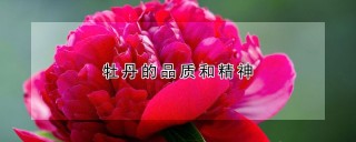 牡丹的品质和精神,第1图