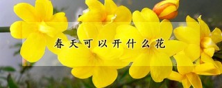 春天可以开什么花,第1图