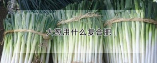 大葱用什么复合肥,第1图