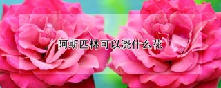 阿斯匹林可以浇什么花,第1图