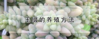 玉缀的养殖方法,第1图