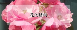 花的结构,第1图