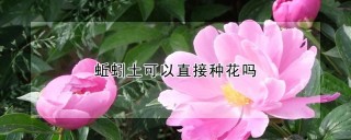 蚯蚓土可以直接种花吗,第1图