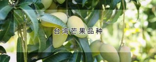 台湾芒果品种,第1图