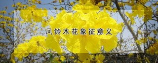 风铃木花象征意义,第1图