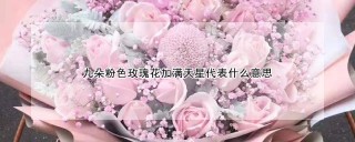 九朵粉色玫瑰花加满天星代表什么意思,第1图