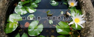 睡莲水养一般能养多久,第1图