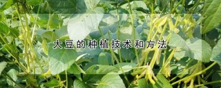 大豆的种植技术和方法,第1图