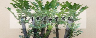 小叶紫檀盆景寓意,第1图