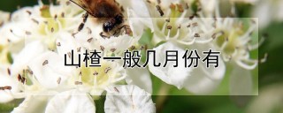 山楂一般几月份有,第1图