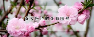 春天粉色的花有哪些,第1图