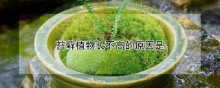 苔藓植物长不高的原因是,第1图