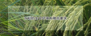 水稻的生长环境有哪些要求,第1图