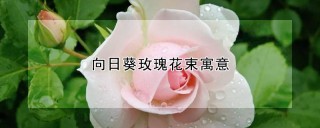 向日葵玫瑰花束寓意,第1图