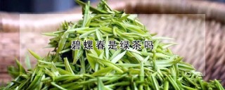 碧螺春是绿茶吗,第1图