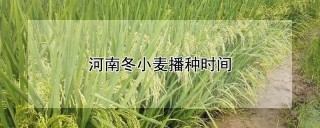 河南冬小麦播种时间,第1图