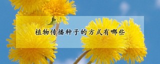 植物传播种子的方式有哪些,第1图