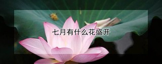 七月有什么花盛开,第1图